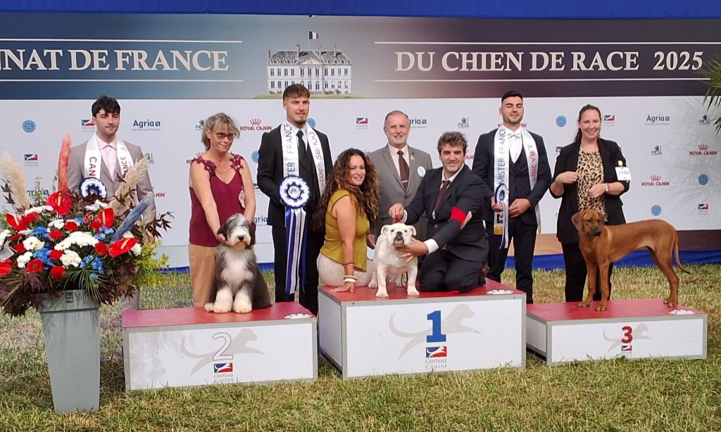 VANAVAN MEILLEUR BABY TOUTES RACES CONFONDUES !